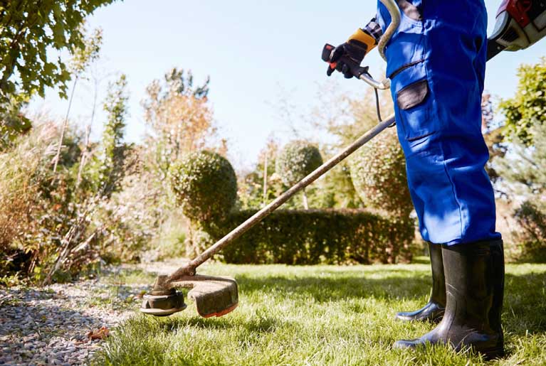 Lawn Care